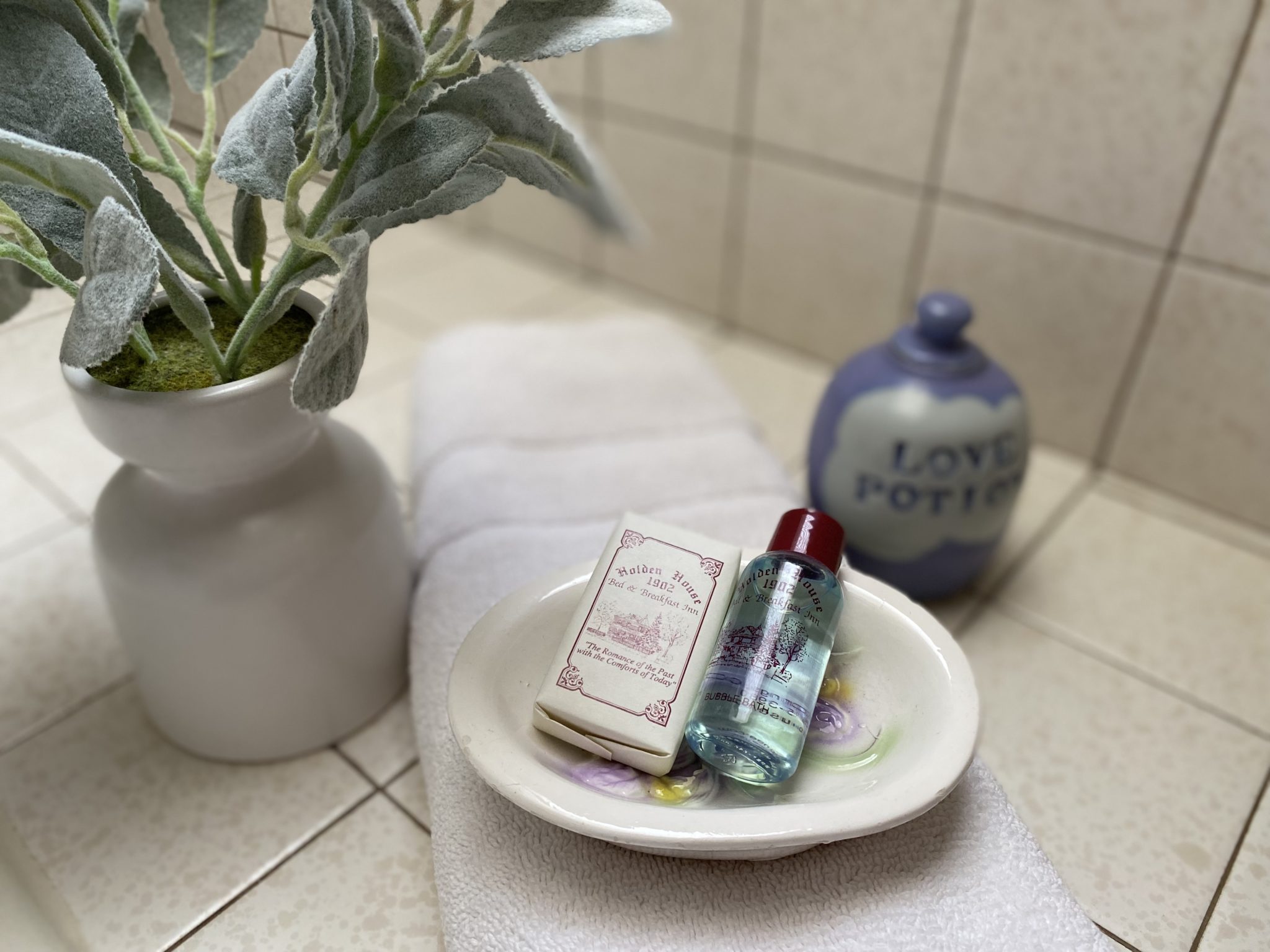 Packages and discount specials for Your Vacation or Business travel in